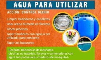 Salud: Mosquitos en casa? Acaba con ellos hoy mismo