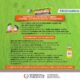 Salud: Protección contra el dengue: precauciones para vacaciones libres de mosquitos