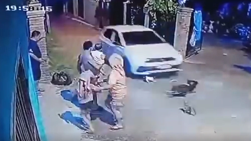 Tragedia en Santaní: Vehículo arrolla a varios perros y deja heridos a otros