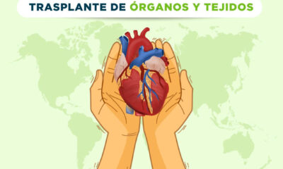 Salud: Día Internacional del trasplante de órganos y tejidos. ¡Salva vidas!