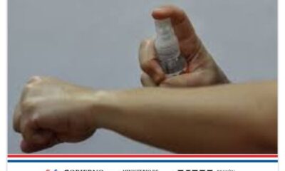 Salud: Prevención del dengue: repelente y ropa correcta para protegerte