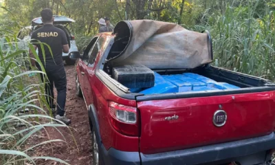 Red de Macho en la mira: Interceptan convoy con marihuana en Canindeyú