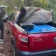 Red de Macho en la mira: Interceptan convoy con marihuana en Canindeyú
