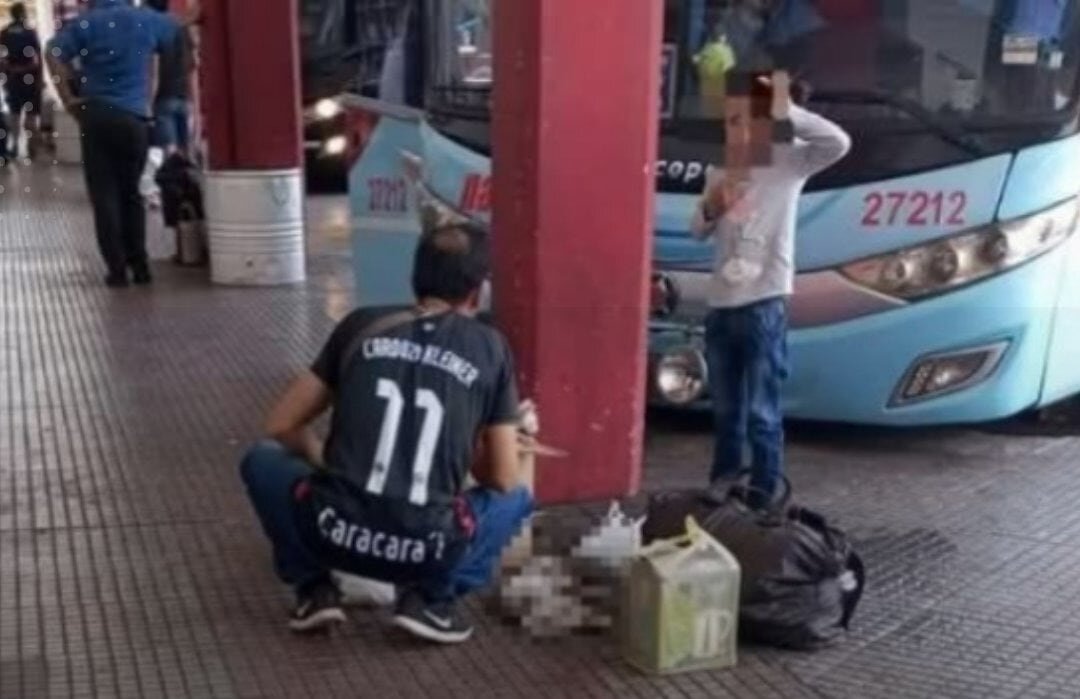 Transportaron a gatito en maletero de bus de larga distancia y falleció al no soportar el calor