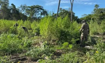 PJC: Choque de motocicletas sobre la ruta PY05 deja tres lesionados