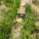 Hallan muerto a un hombre al costado de la Ruta PY05 en Cerro Corá