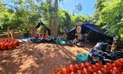 Senad y Fiscalía desmantelan un laboratorio de marihuana ice en Capitán Bado