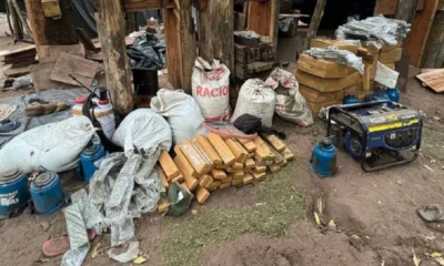 Destruyen alrededor de 2.000 kilos de marihuana en la zona de Cerro Guazú