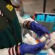Investigó 24 clínicas para usar el ‘pirata’ de Botox traído de Corea del Sur para los tratamientos de estética