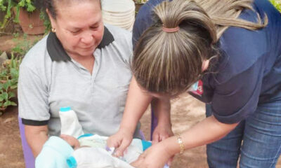 Lanzan Campaña de Inmunización con Nirsevimab para Recién Nacidos en PJC