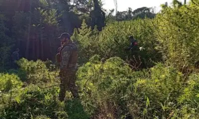 Docentes aseguran que autoridades eligen ignorar denuncias y amenazar a denunciantes