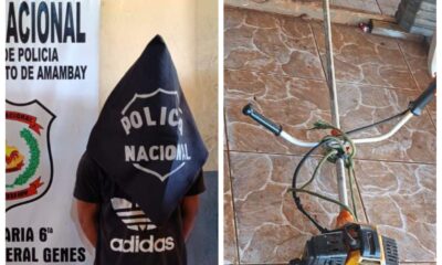 Joven es detenido por hurtar una desmalezadora de una vivienda en Pedro Juan Caballero