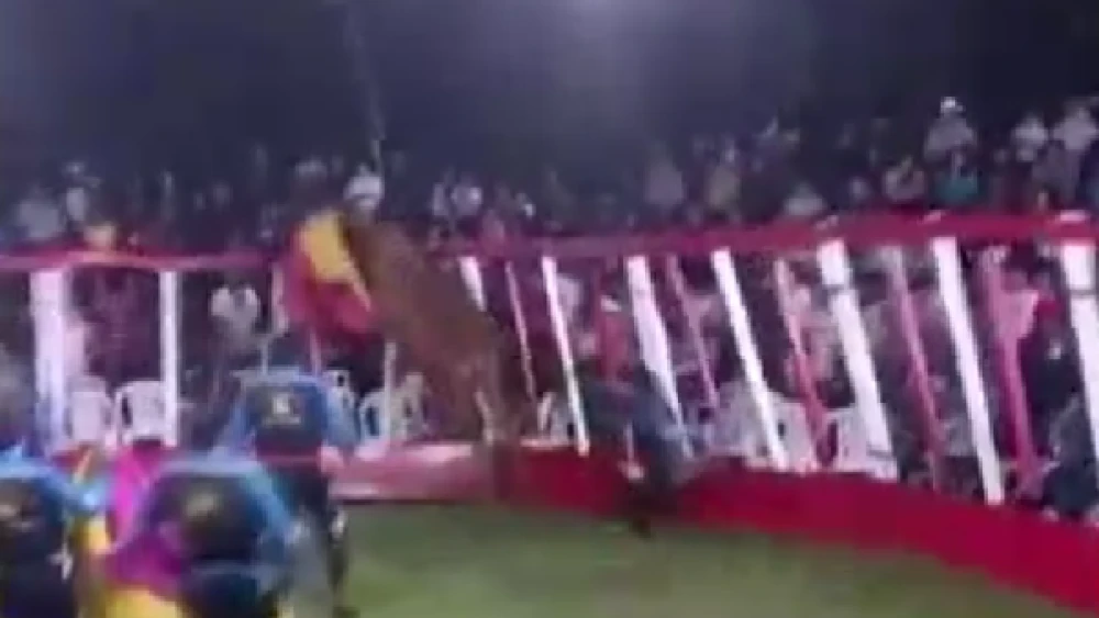 Video: Toro salta valla de seguridad y asistentes se llevan un gran susto en Sapucái