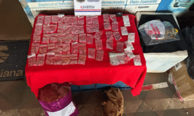 Decomiso de drogas ocultas en peluche de carpincho en Concepción