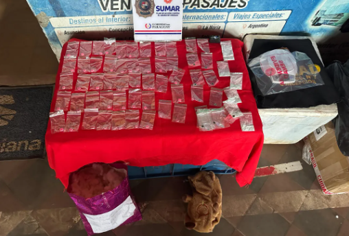 Decomiso de drogas ocultas en peluche de carpincho en Concepción Decomiso de drogas ocultas en peluche de carpincho en Concepción