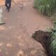 Municipalidad de Pedro Juan Caballero clausura puente sobre arroyo por riesgo de colapso