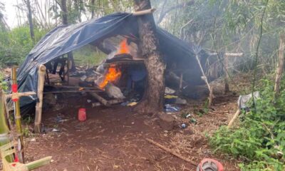 Anulan campamento narco y destruyen toneladas de marihuana en Capitán Bado
