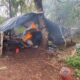 Anulan campamento narco y destruyen toneladas de marihuana en Capitán Bado