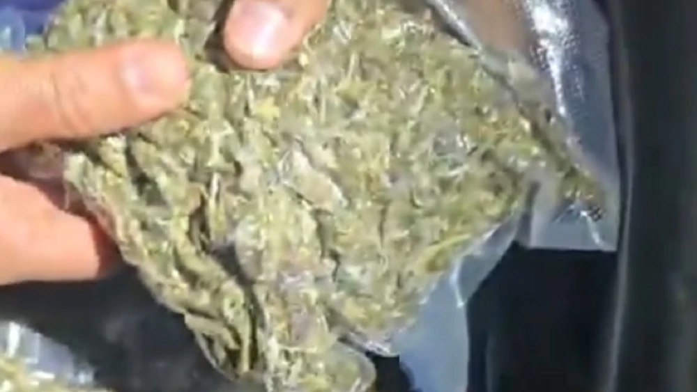 Senad captura a cuatro personas con marihuana de alta pureza en zona del Parque Guasu