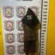 Policía recaptura a brasileño fugado de la cárcel de Minga Guazú cuando intentaba viajar a PJC