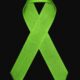 PJC: Título: Campaña Lazo Verde promueve conciencia sobre abuso sexual infantil en Paraguay