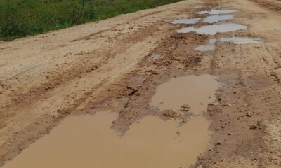 Caminos rurales de Laureles están intransitables tras las lluvias