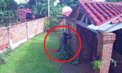Luque: Vecinos de Itapuamí denuncian robos diarios cometidos por adictos