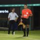 Fabián Bustos: “El partido termina en la expulsión» – Olimpia