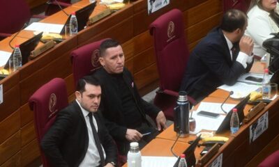 Senado aprueba reforma de la ley de Protección Animal