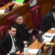 Senado aprueba reforma de la ley de Protección Animal