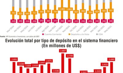 Depósitos del sector público: más liquidez en dólares y apuesta a plazo en guaraníes