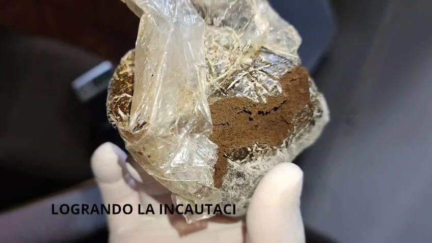 Detención y allanamiento en Alto Paraná por tráfico de drogas Detención y allanamiento en Alto Paraná por tráfico de drogas