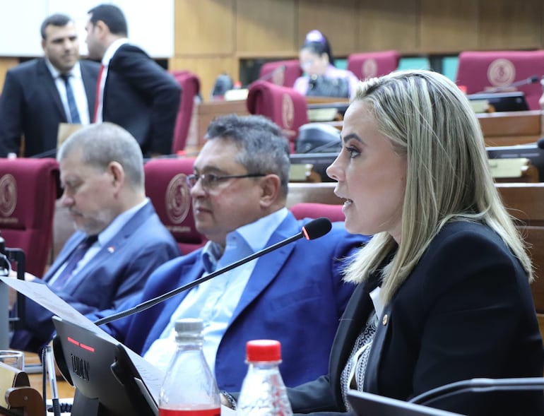 Disputa entre cartistas y opositores por el Foro de Madrid reaviva discusión sobre las ONG