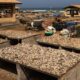 La mitad de las carpetas en el oeste de América del Sur y en África occidental se sobreexplotan | Planeta futuro