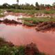 Parlamentarios buscan prohibir el uso de cianuro y el mercurio en la minería de oro