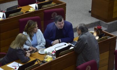 Senado aprueba ley “placebo” anti mafia de pagarés