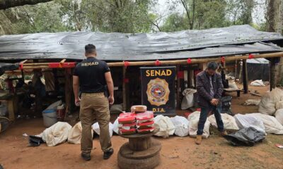 Aprehenden más de 12 toneladas de marihuana y detienen a 4 sospechosos.