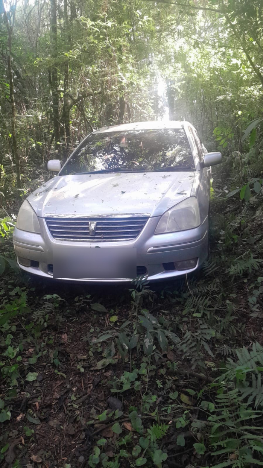 Recuperación exitosa de vehículo Toyota hurtado en Alto Paraná Recuperación exitosa de vehículo Toyota hurtado en Alto Paraná