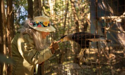 ‘Baba’ Linaro, Argentina, que se refugió a una docena de animales abandonados por un zoológico | América Futura
