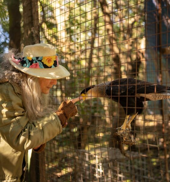 ‘Baba’ Linaro, Argentina, que se refugió a una docena de animales abandonados por un zoológico | América Futura