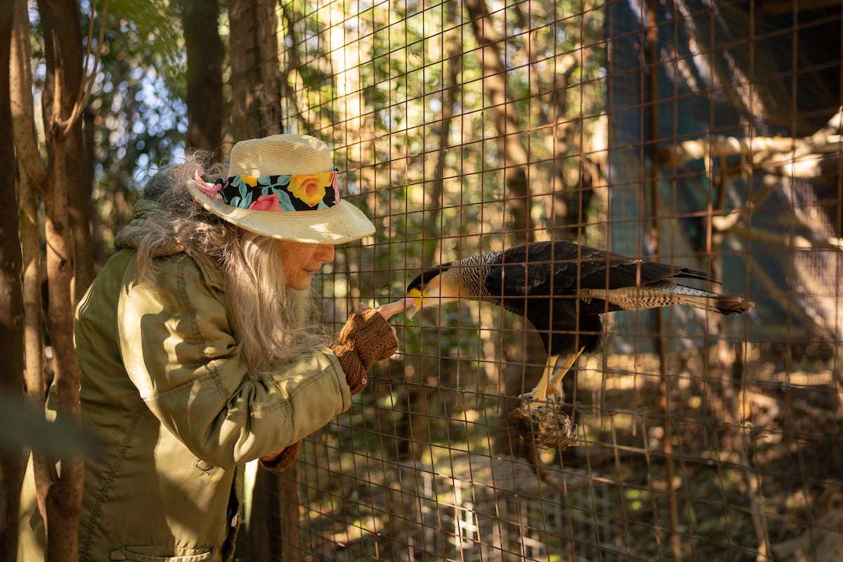 ‘Baba’ Linaro, Argentina, que se refugió a una docena de animales abandonados por un zoológico | América Futura ‘Baba’ Linaro, Argentina, que se refugió a una docena de animales abandonados por un zoológico | América Futura