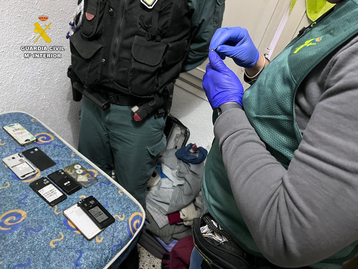 Disarticuló en Cáceres una red de negocios y cybethafas sentimentales | España Disarticuló en Cáceres una red de negocios y cybethafas sentimentales | España