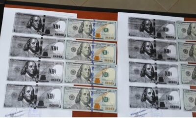 Dólar estadounidense muestra volatilidad y cotiza como una “moneda de riesgo”
