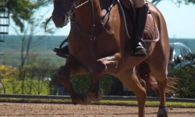 Hipismo: Concurso de Confraternidad en Misiones – Polideportivo