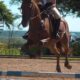 Hipismo: Concurso de Confraternidad en Misiones – Polideportivo