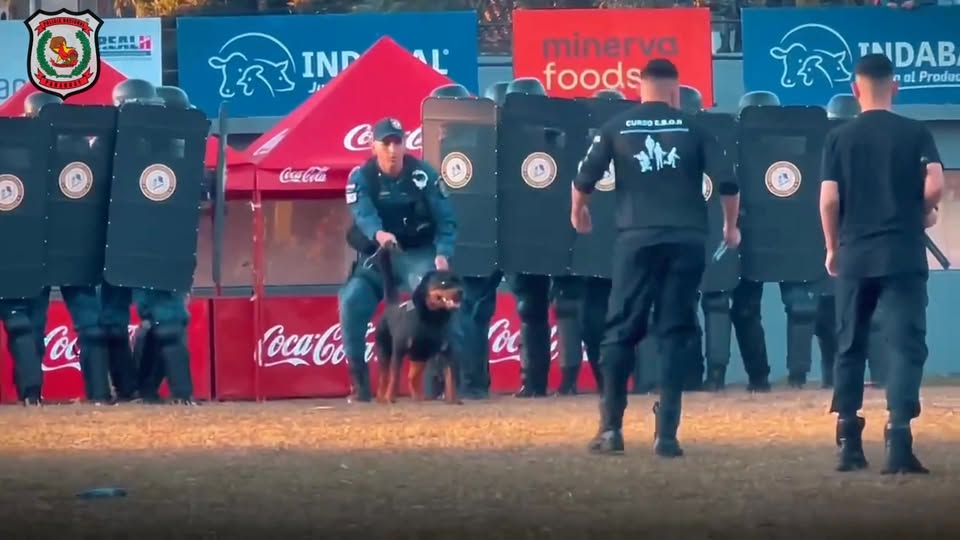 Exhibición de destreza policial en Expo 2025: ¡No faltes! Exhibición de destreza policial en Expo 2025: ¡No faltes!