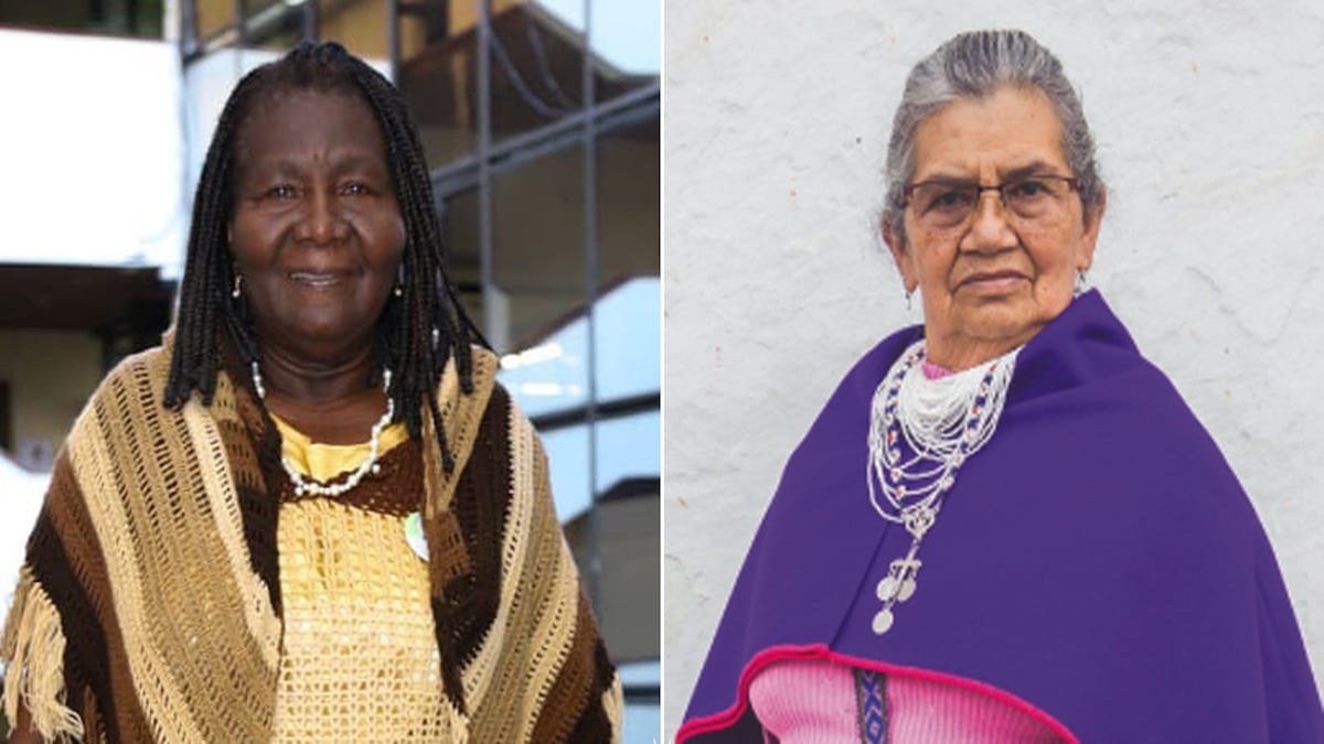Mary Greed y Barbara Muelas: La primera vez que una mujer afro y una mujer indígena llega a la Academia de Lenguaje Colombiano Mary Greed y Barbara Muelas: La primera vez que una mujer afro y una mujer indígena llega a la Academia de Lenguaje Colombiano