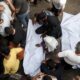 Última hora del conflicto en el Medio Oriente, Live | Más de 80 muertos en las últimas horas en Gaza para ataques israelíes | Internacional