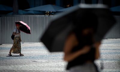 Una cifra de estudio en 458 las muertes a las que se les cobró la última ola de calor solo en Madrid y Barcelona | Clima y medio ambiente