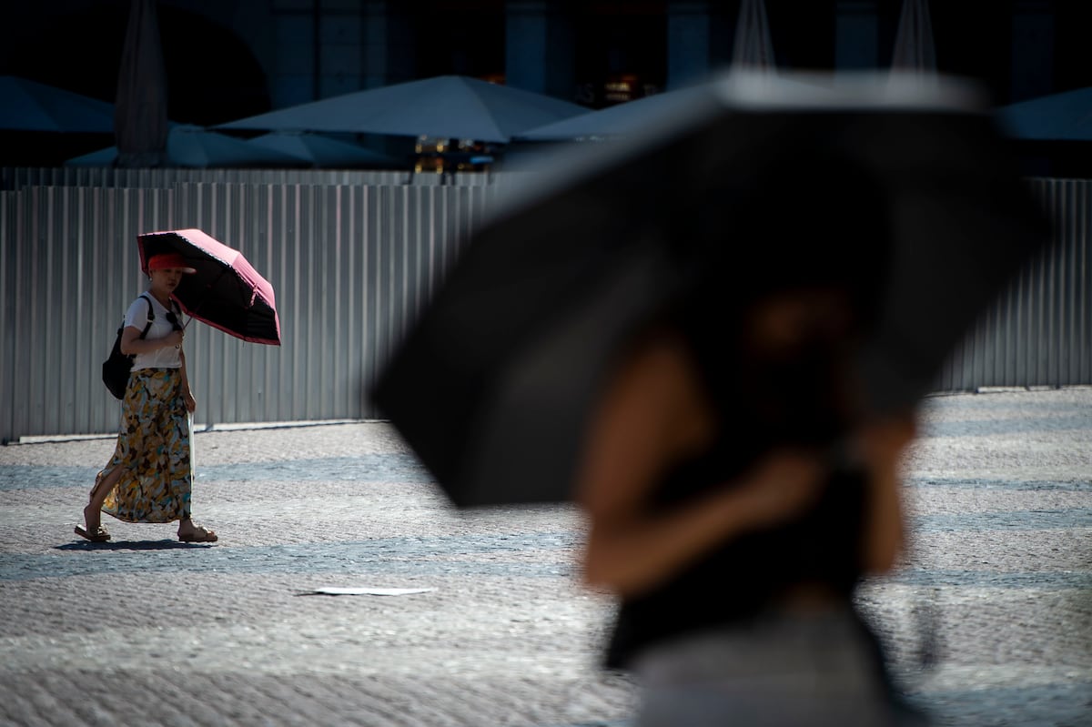 Una cifra de estudio en 458 las muertes a las que se les cobró la última ola de calor solo en Madrid y Barcelona | Clima y medio ambiente